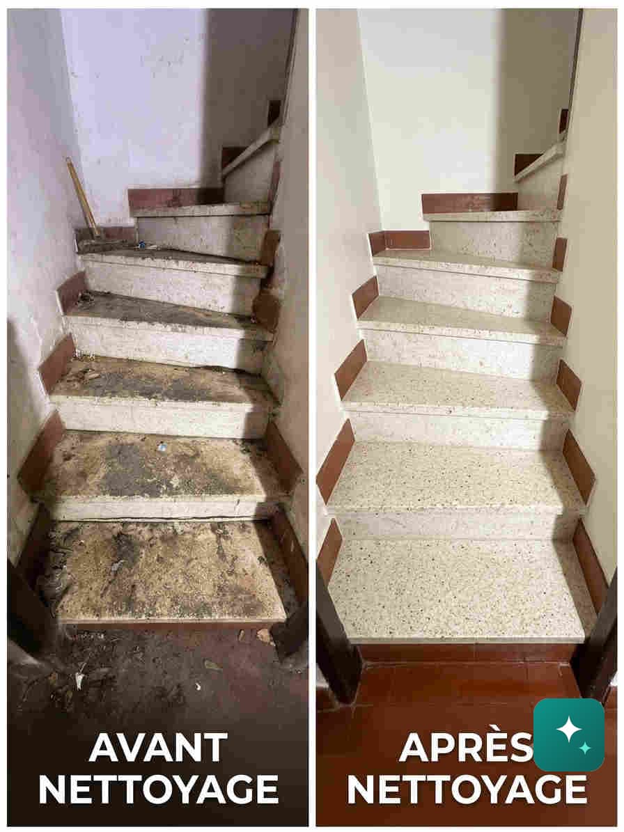 Avant / après : escalier en pierre encrassé puis nettoyé et dégraissé par SANAD CLEAN